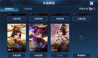 大唐皮肤最新爆料视频,揭秘古代风情与时尚融合的视觉盛宴 第3张 大唐皮肤最新爆料视频,揭秘古代风情与时尚融合的视觉盛宴 第3张