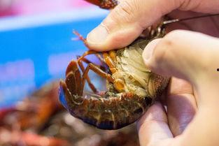 娱乐圈爆料小龙虾,小龙虾事件背后的真相揭秘 第3张 娱乐圈爆料小龙虾,小龙虾事件背后的真相揭秘 第3张